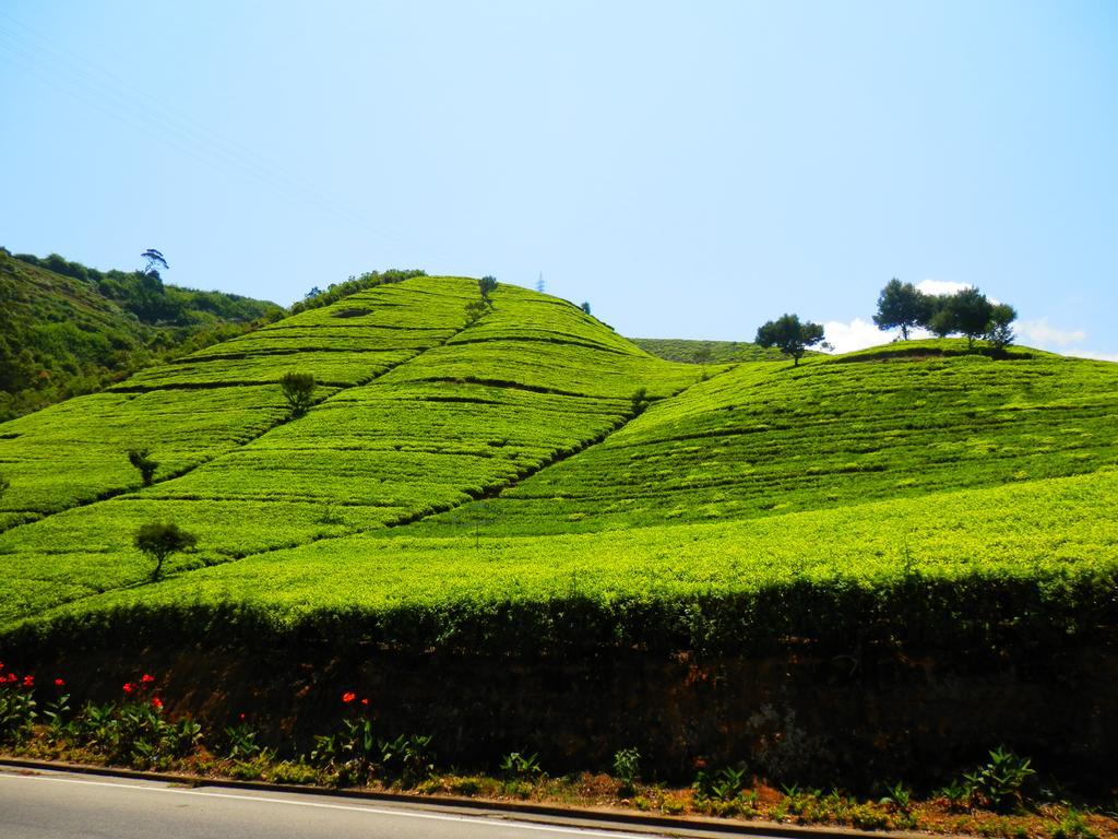 Hotel Eranga Guest Nuwara Eliya Exterior foto